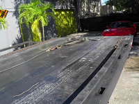 Charming Dark Brown Doxy Ashley Adams Enjoys Unfathomable Fuck