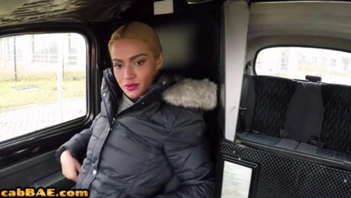 Cabdriver MILF In Stockings Fucked Outdoor By Military Man Porn (Cherry Kiss)