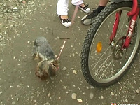 Adorable Brown Haired Marilyn B Fingered And Fucked Hard