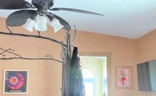 Black And Ebony Babes